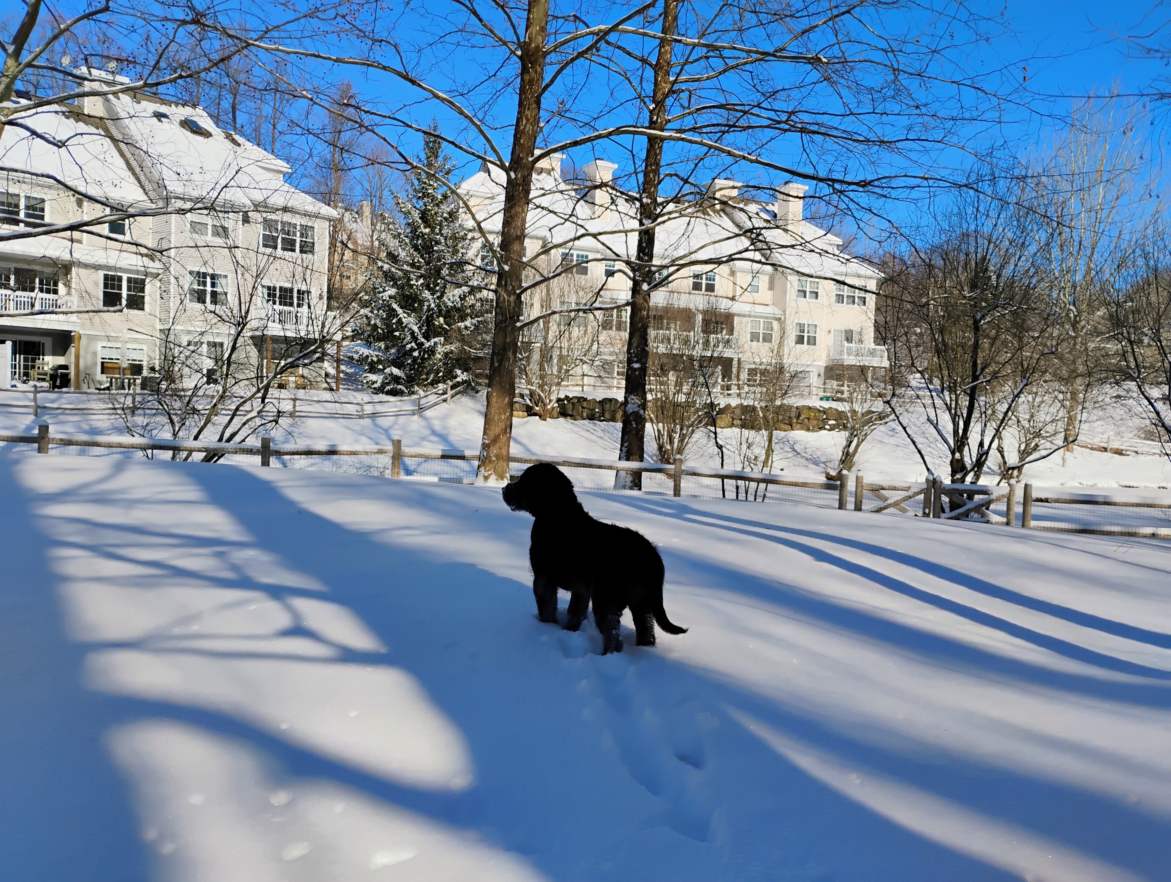 Snow Day